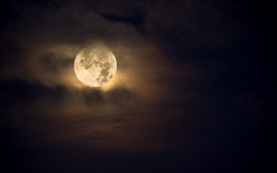 Truisms of Buddhism